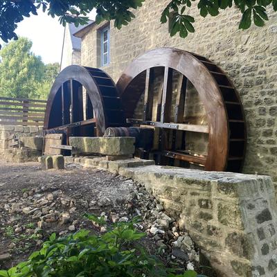 Une matinée au rythme du moulin… et d’un âne du Cotentin !
