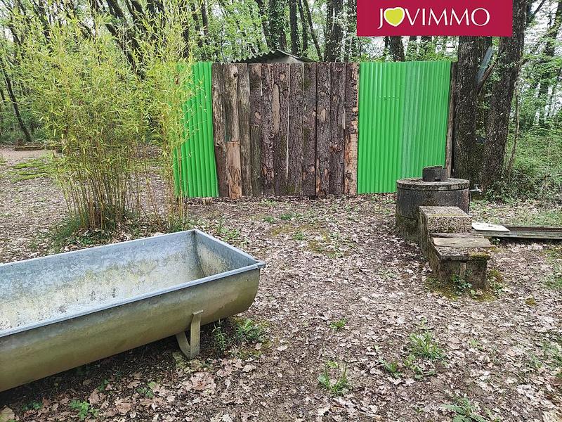 Terrain - 100 000 m²