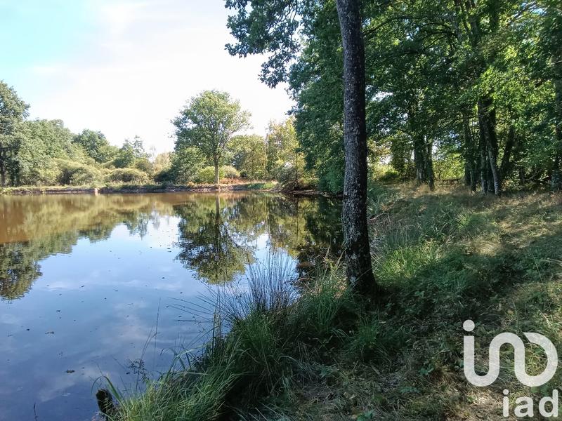 Terrain - 37 398 m²