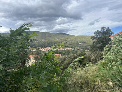 Terrain - 445 m²