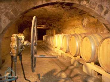 Terrain agricole - 1 500 000 m²