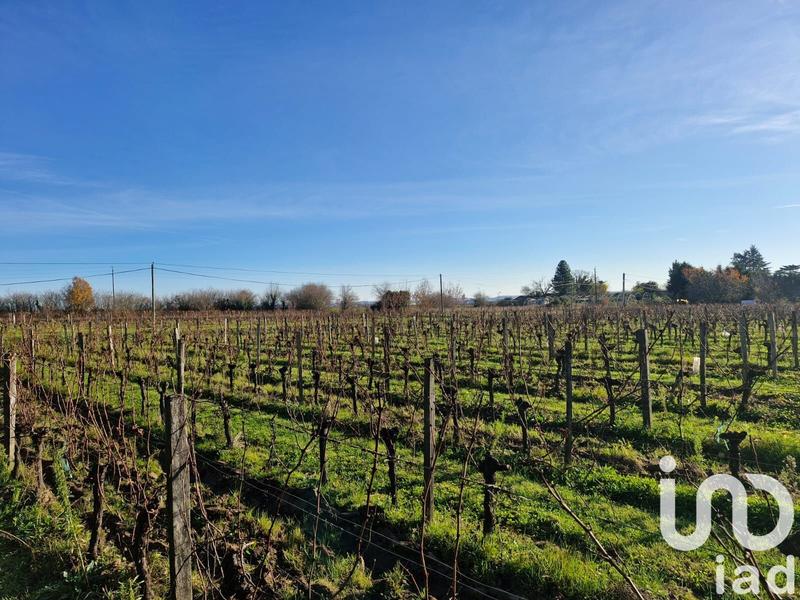 Maison - 356 m² - 10 pièces