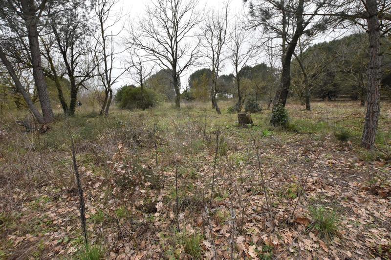 Terrain commercial - 3 719 m²