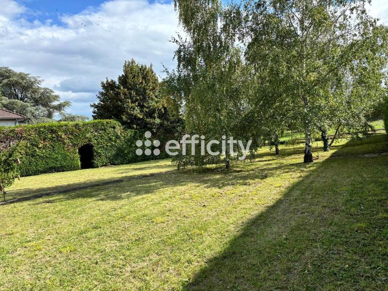 Terrain - 778 m²