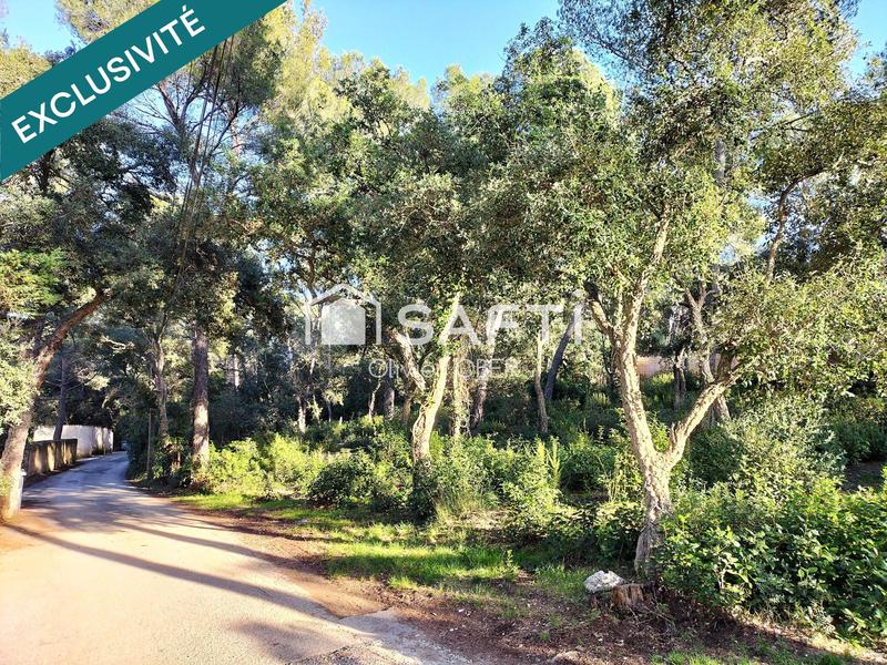 Appartement - 50 m² - 3 pièces