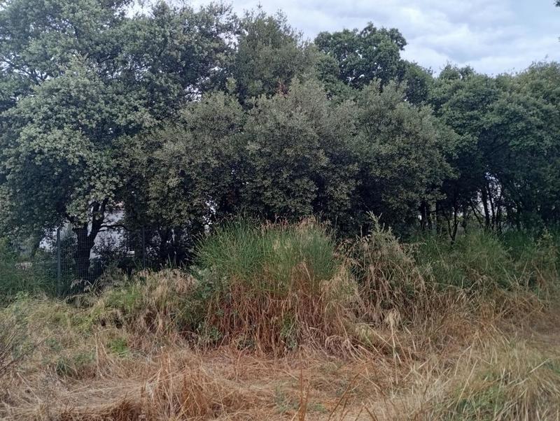 Terrain constructible - 499 m²