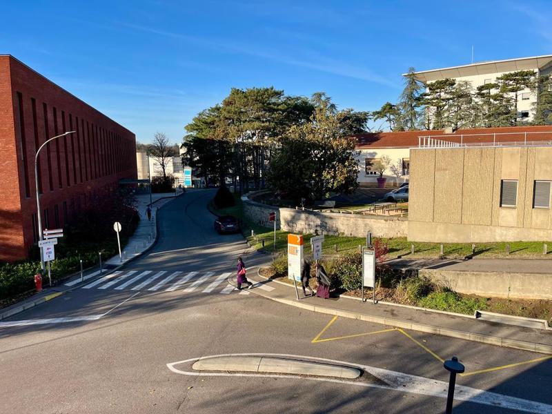 Studio - 19 m² - 1 pièce