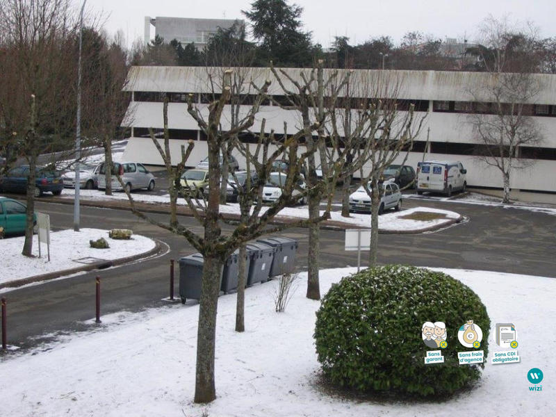 Appartement - 55 m² - 2 pièces