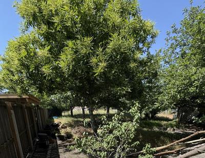 Terrain constructible - 1 873 m²