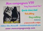 Mon compagnon Vip