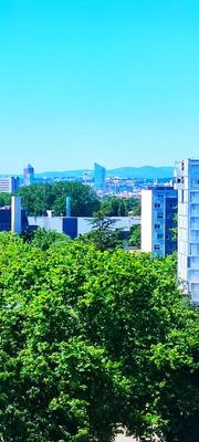 Appartement - 91 m² - 5 pièces