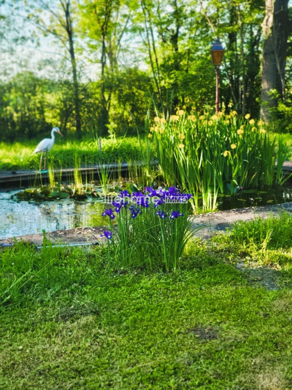 Maison - 176 m² - 8 pièces