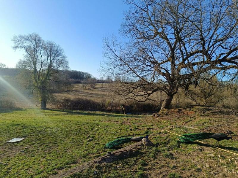 Maison de campagne - 130 m² - 7 pièces