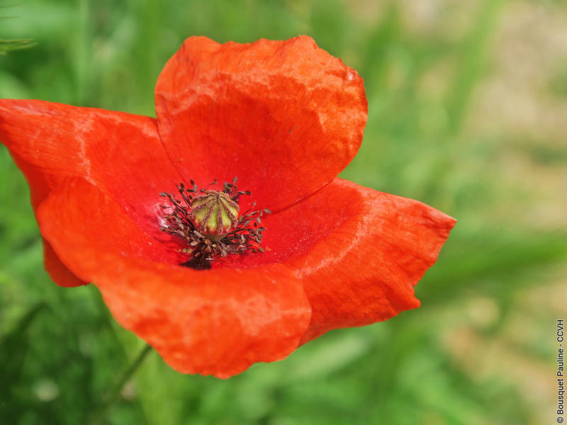 Exposition Paysages et Biodiversite