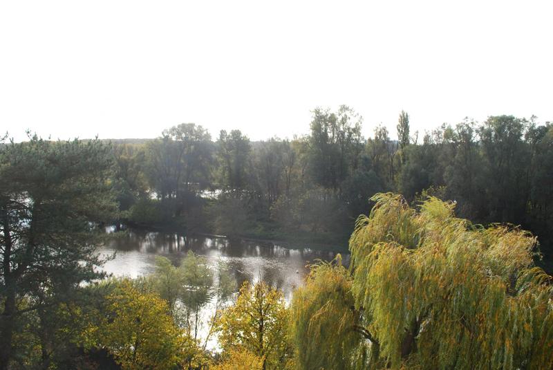 Appartement - 9 m² - 1 pièce