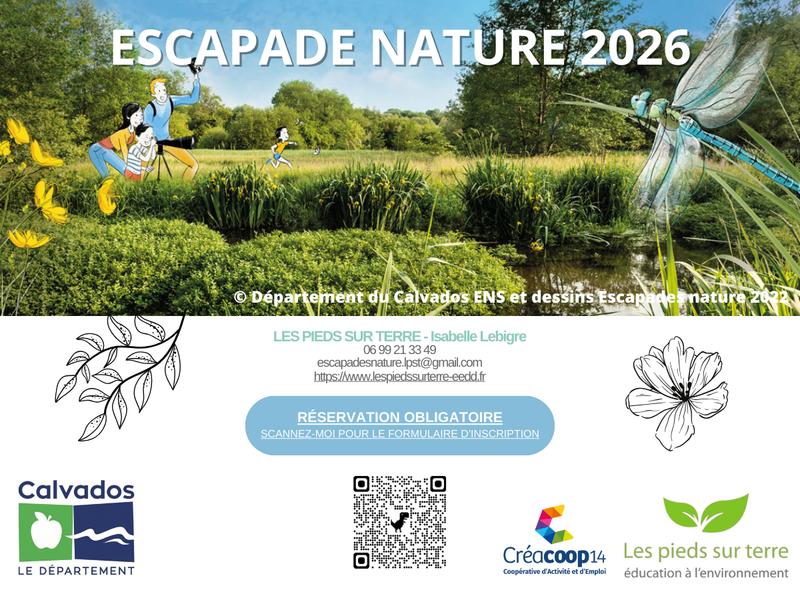 La richesse faunistique du marais de la vallée de l’Aure.