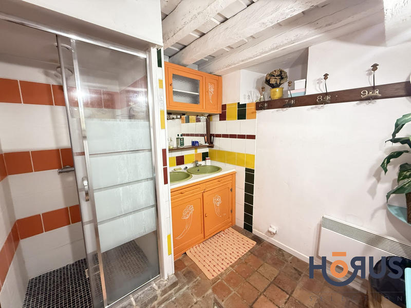 Viager - Maison ancienne - 180 m² - 5 pièces