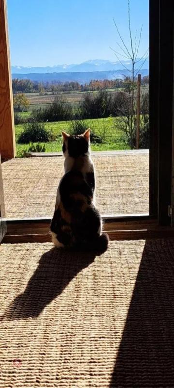 Maison de bois - 180 m² - 5 pièces