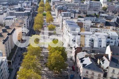 Local commercial - 233 m²