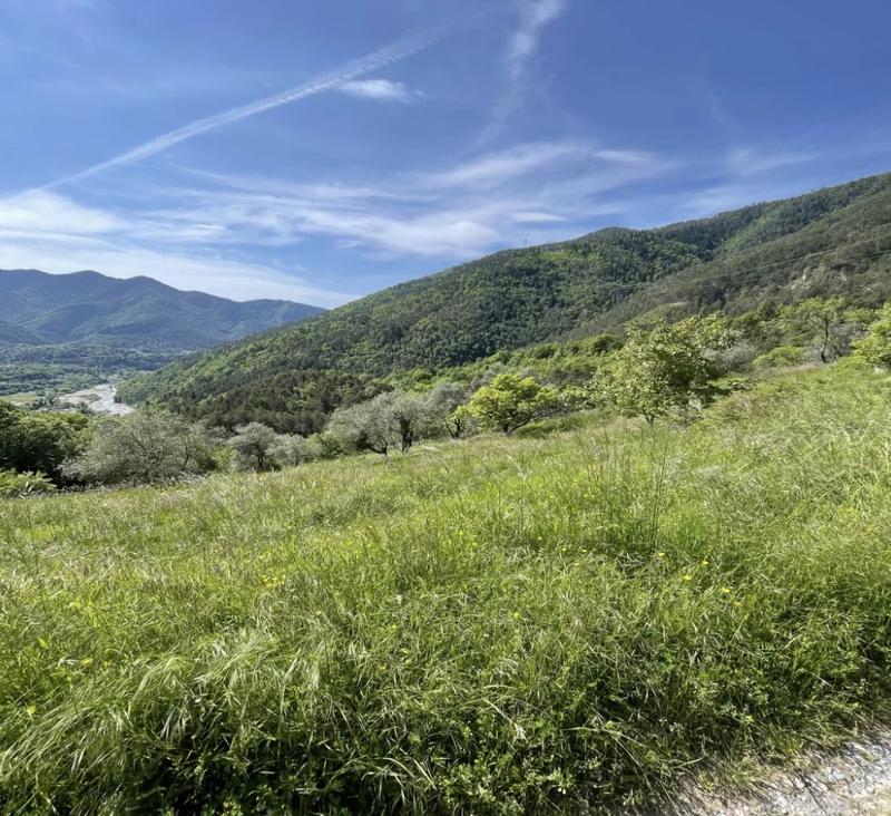 Terrain - 15 590 m²