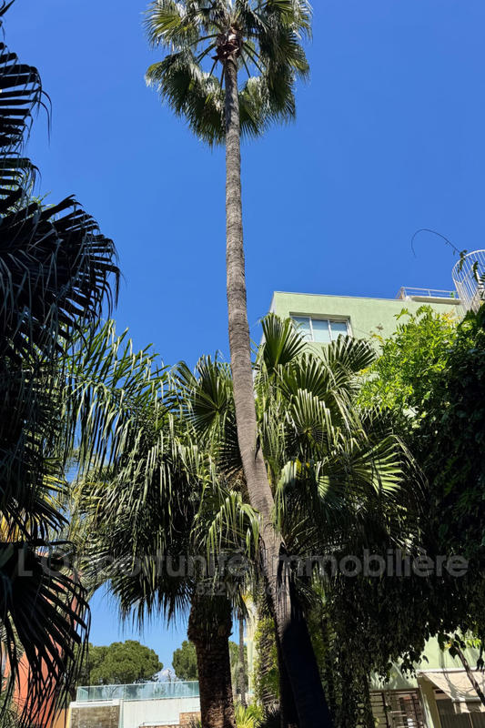 Appartement - 44 m² - 3 pièces