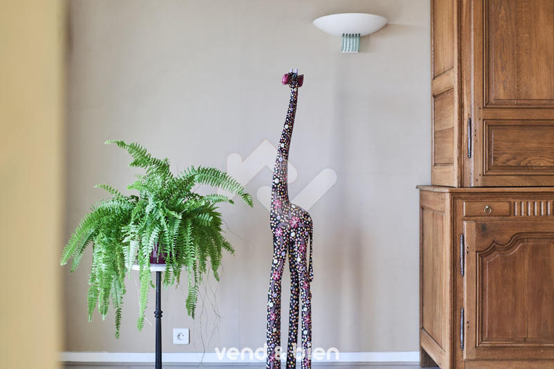 Appartement - 120 m² - 6 pièces