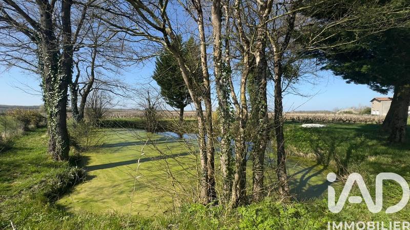 Château - 1 256 m² - 25 pièces