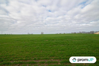 Terrain agricole - 6 000 m²
