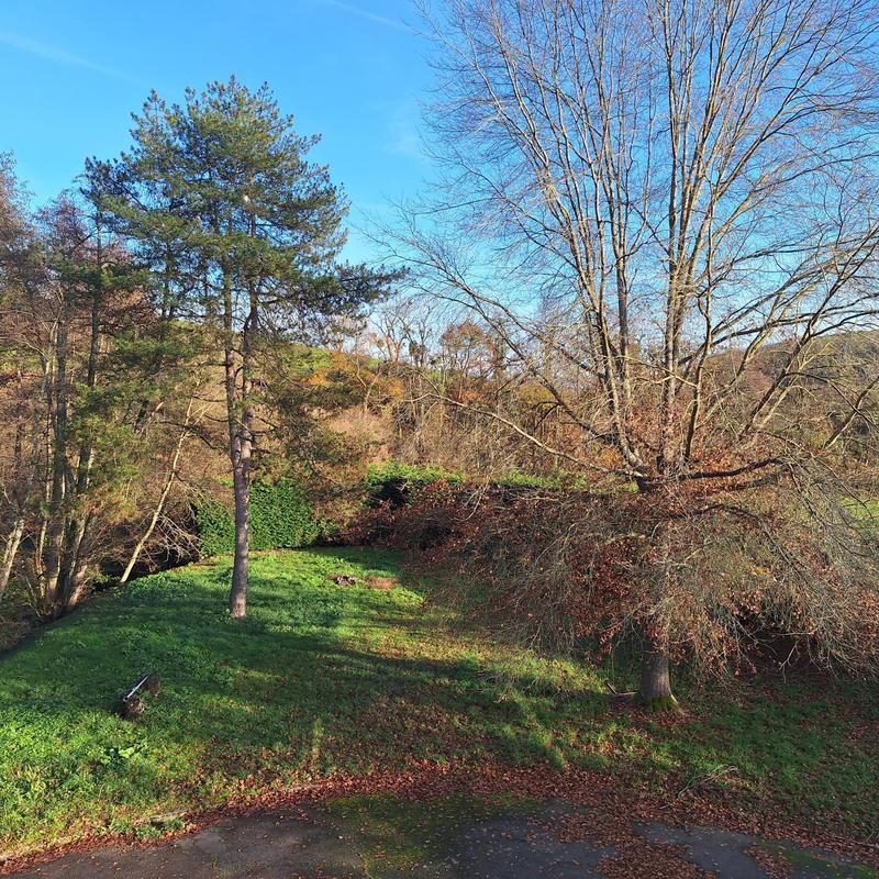 Maison - 233 m² - 8 pièces