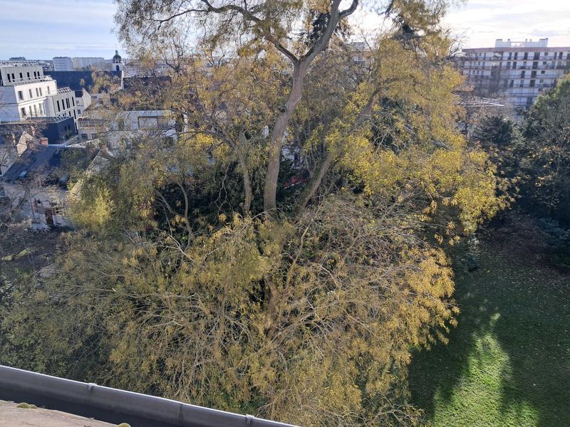 Appartement - 46 m² - 2 pièces