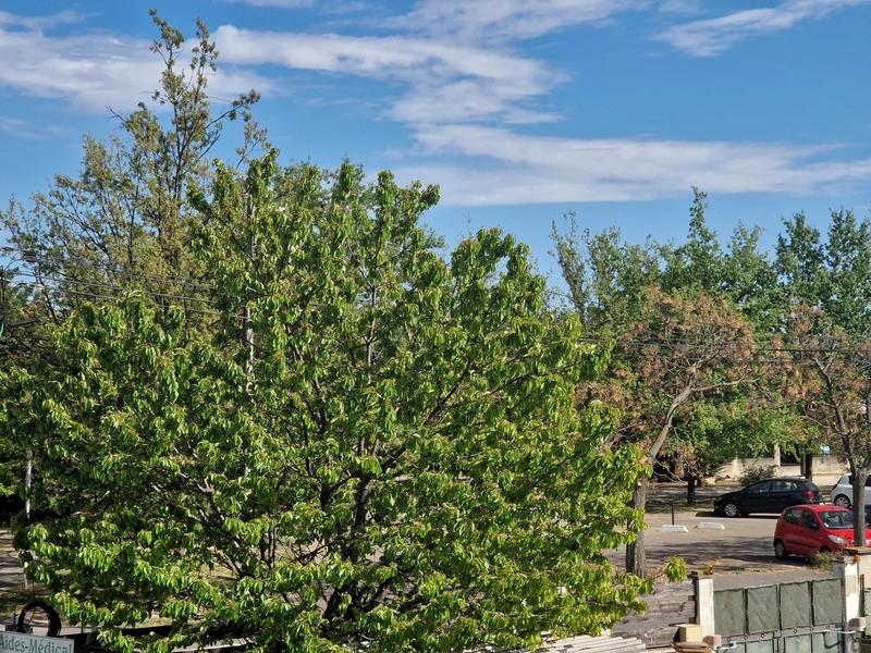 Appartement - 94 m² - 4 pièces