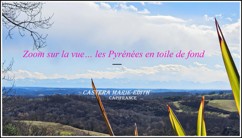 Maison - 322 m² - 9 pièces