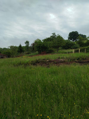 Ferme - 100 m² - 4 pièces