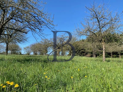 Maison ancienne - 150 m² - 4 pièces