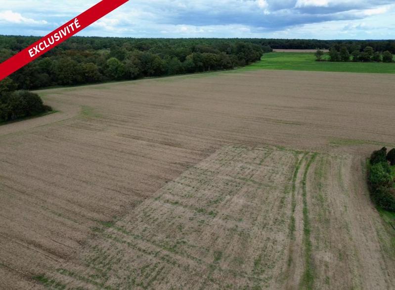 Terrain constructible - 1 065 m²