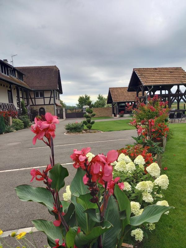 Corps de ferme - 320 m² - 14 pièces