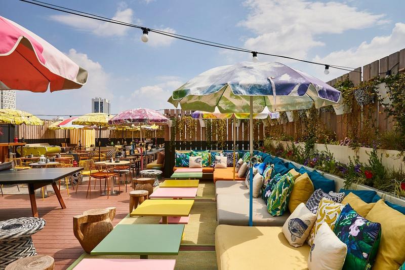 Studio - 19 m² - 1 pièce