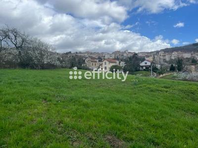 Terrain - 16 910 m²