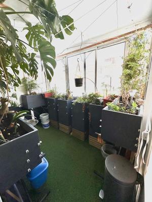 Appartement - 50 m² - 2 pièces