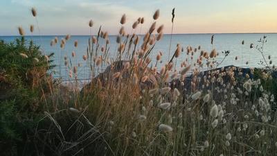 Maison - 115 m² - 4 pièces