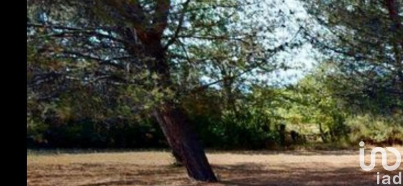 Maison de campagne - 116 m² - 4 pièces