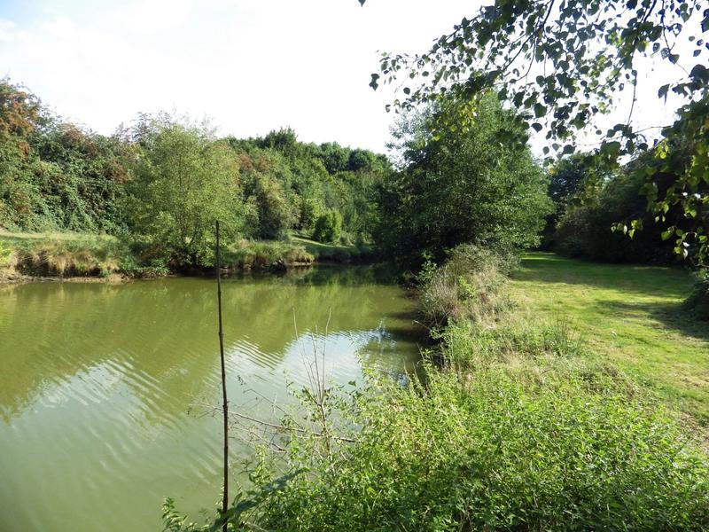 Terrain - 12 496 m²