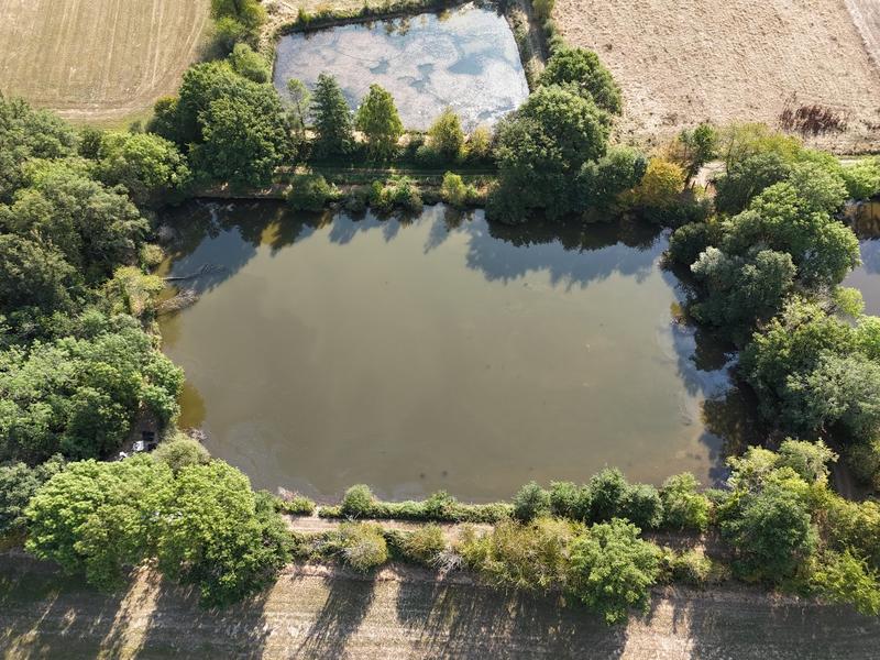 Maison - 46 m² - 2 pièces