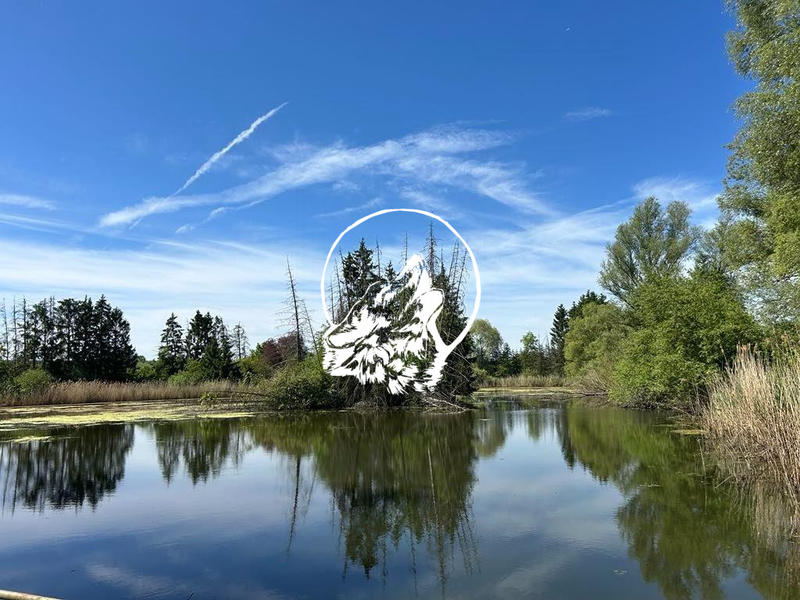 Ferme - 300 m² - 10 pièces