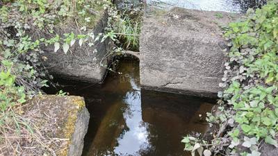 Moulin - 200 m² - 6 pièces