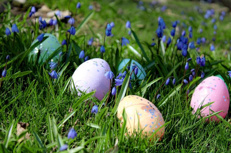 Chasse aux Œufs au Château Saint Sixte