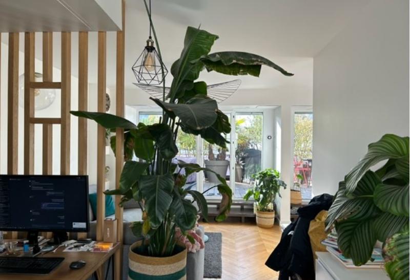 Appartement - 52 m² - 2 pièces