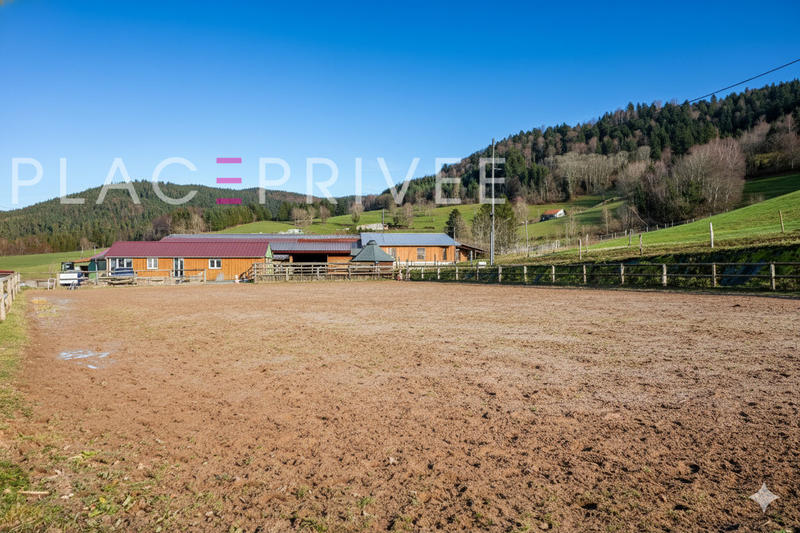 Maison de domaine équestre - 320 m² - 11 pièces