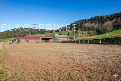 Maison de domaine équestre - 320 m² - 11 pièces