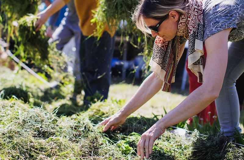 Les mardis coup de main